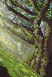 Light Through the Mossy Tree woodland art print on Hahnemühle German Etching