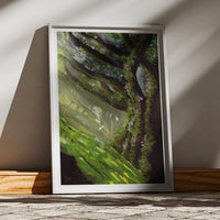 Light Through the Mossy Tree print, part of the Woodland set of three