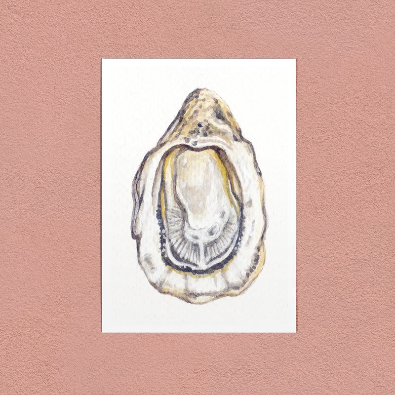 Oyster art print — an oyster painted close in gouache
