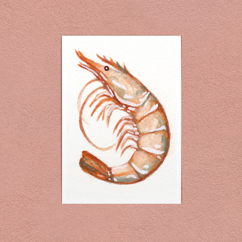 Prawn art print — a prawn painted close in gouache