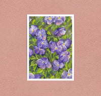Violas in the Spring art print — violas in a garden bed, dancing in the spring air
