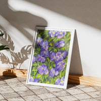 Violas in the Spring floral art print on Hahnemühle German Etching